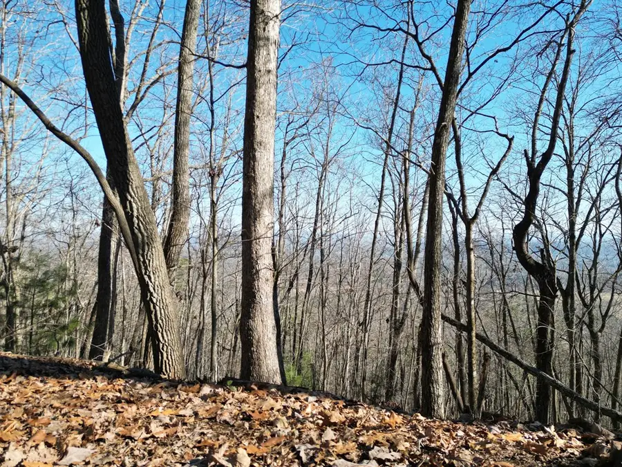 20.05 ac Treehouse Trail, Murphy, NC 28906 - #3