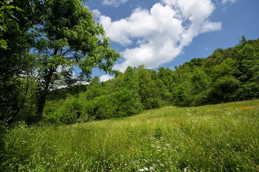 00 Peterson Road, Robbinsville, NC 28771 - #2