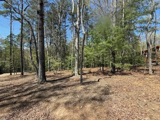Lot 2 Lynae Lane, Murphy, NC 28906 - #2