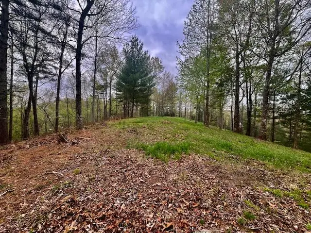 TR1-23 Majestic Mountain Trail, Murphy, NC 28906 - #1