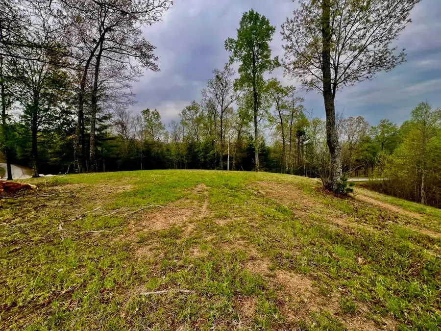 TR1-23 Majestic Mountain Trail, Murphy, NC 28906 - #2