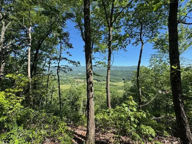 00 Coalville Road, Valleytown, NC 28901 - #1