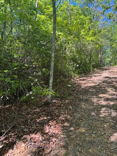 00 Coalville Road, Valleytown, NC 28901 - #3