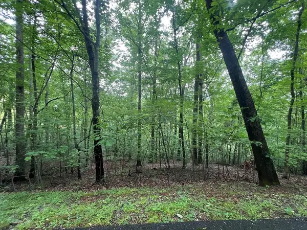 0 Ash Branch Circle, Hayesville, NC 28904