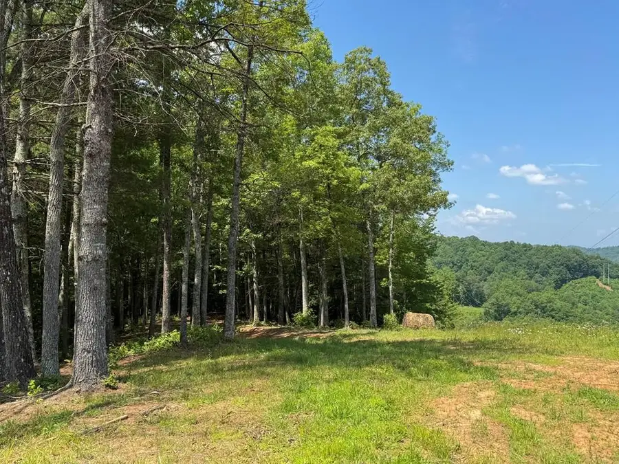 Lot 69 Thundering Hill, Murphy, NC 28906 - #3