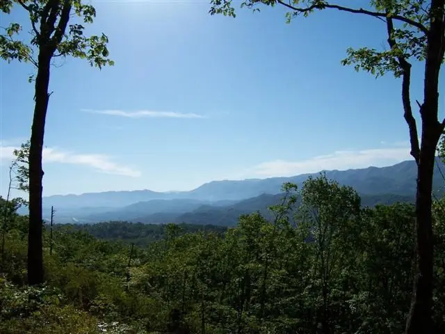 850 Bluff Road, Marble, NC 28905 - #3