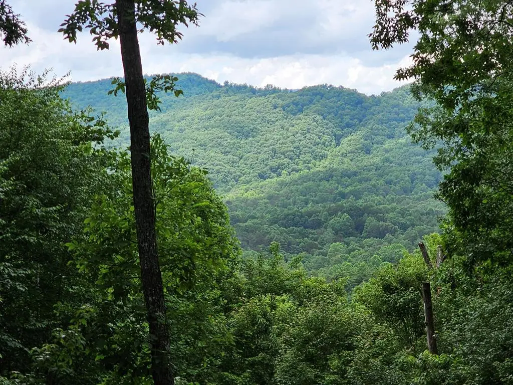 Lot 13-B Mountain Top Drive, Murphy, NC 28906 - #1