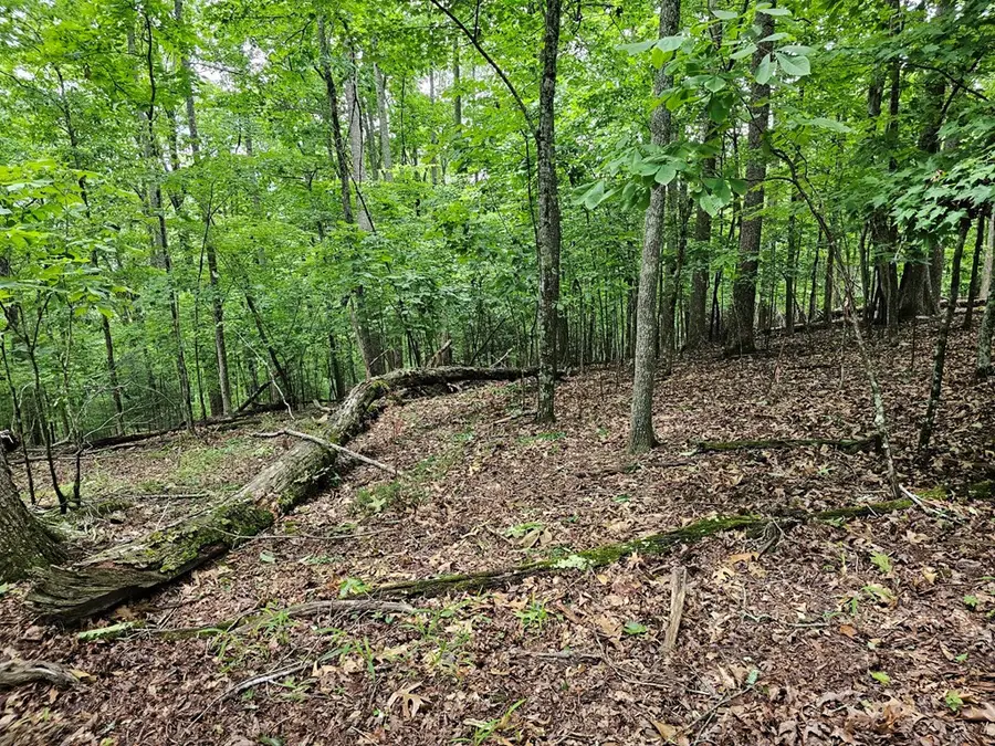 Lot 13-B Mountain Top Drive, Murphy, NC 28906 - #3