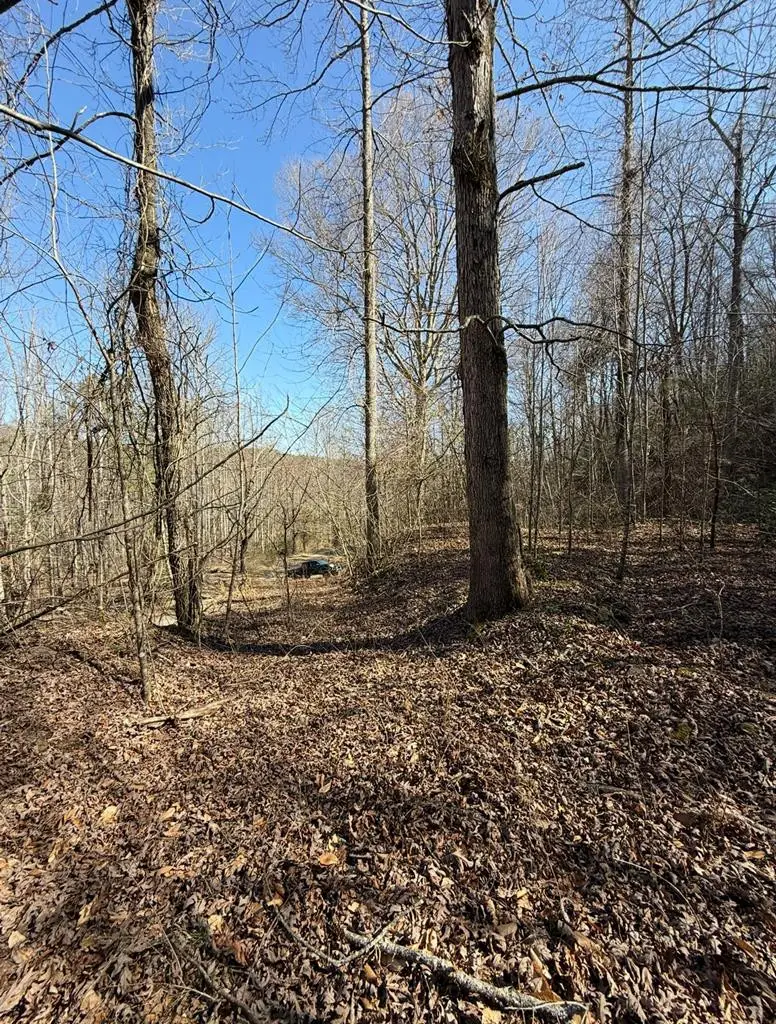 TBD Royal Oaks Trail, Brasstown, NC 28902 - #1