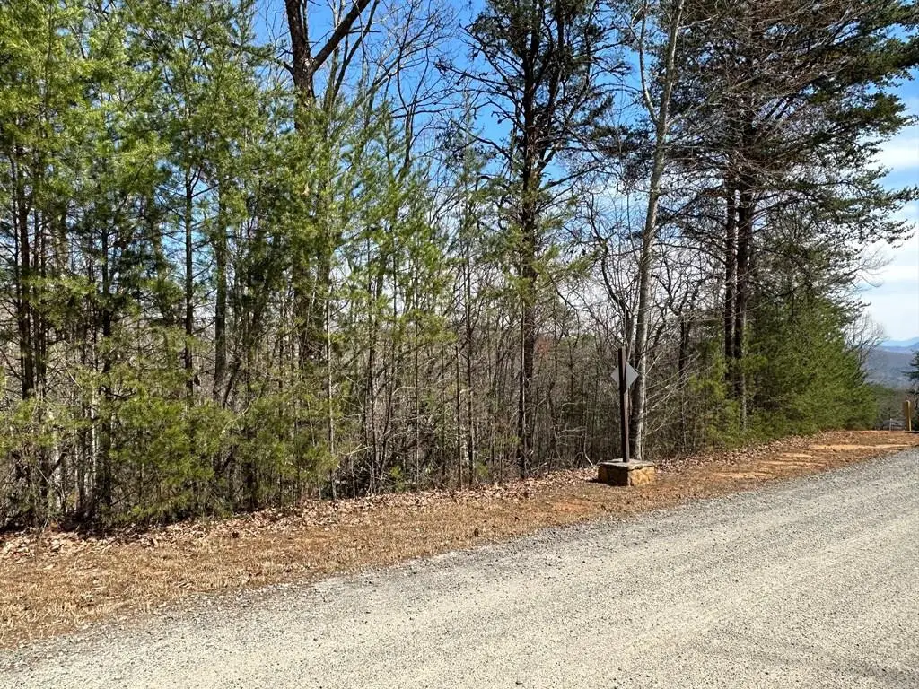 LT29 Wilderness Creek Way, Murphy, NC 28906 - #1