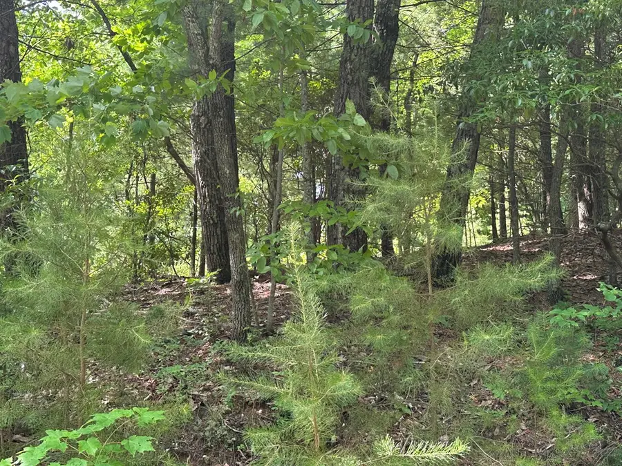 Lot 31 Peak Trail, Murphy, NC 28906 - #2
