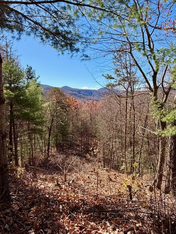 Lot #15 View Ridge Trail, Murphy, NC 28906