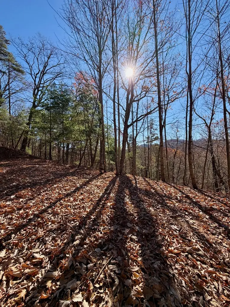 Lot #15 View Ridge Trail, Murphy, NC 28906 - #2