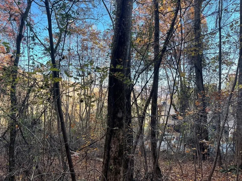 Lot 51j Indian Trail, Hayesville, NC 28904 - #1