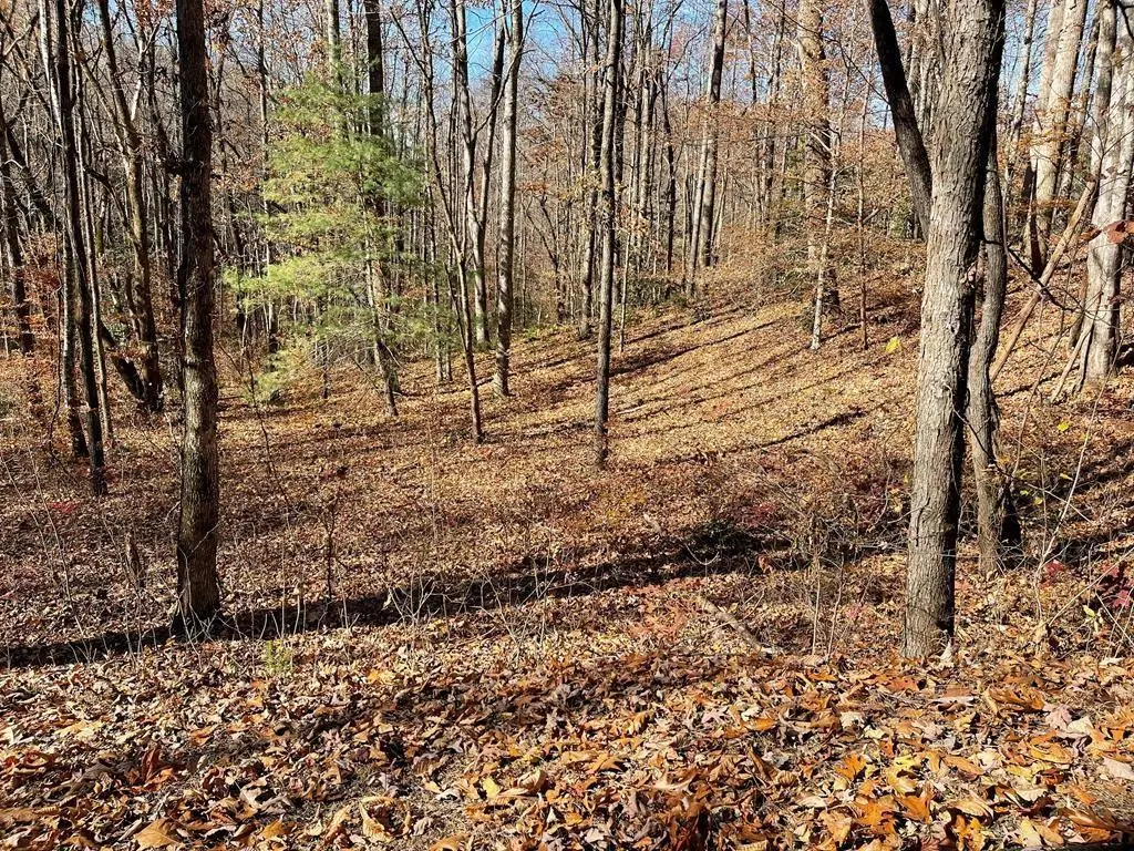 TBD Ashe Knob Drive, Hayesville, NC 28904 - #1