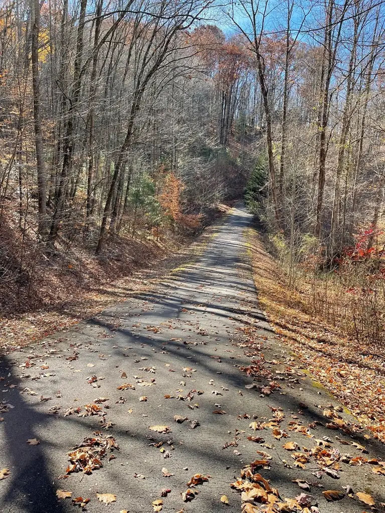 TBD Ashe Knob Drive, Hayesville, NC 28904 - #3