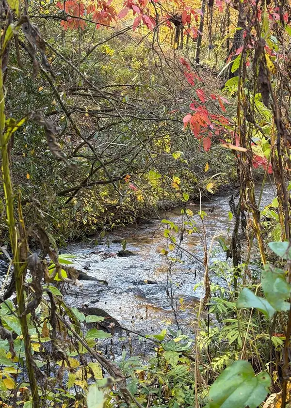 Lot 62 & Creek Lot A, Stone Ridge Falls, Murphy, NC 28906