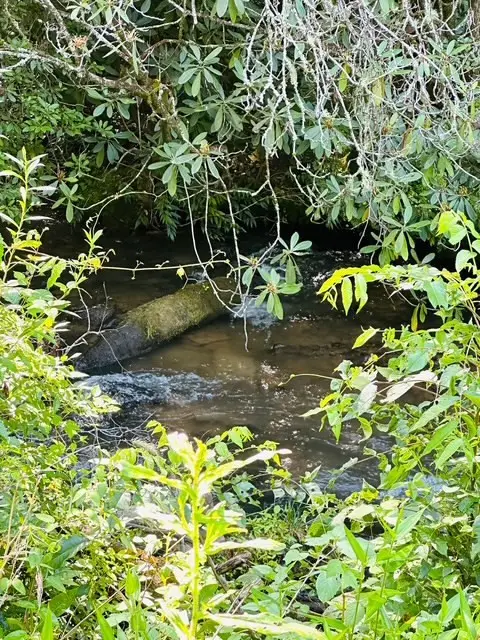 Lot 62 & Creek Lot A, Stone Ridge Falls, Murphy, NC 28906 - #3