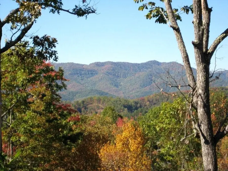 247 Rice Lane, Murphy, NC 28906 - #2