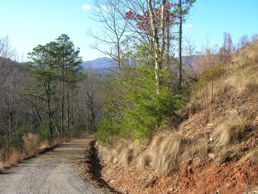 247 Rice Lane, Murphy, NC 28906 - #3