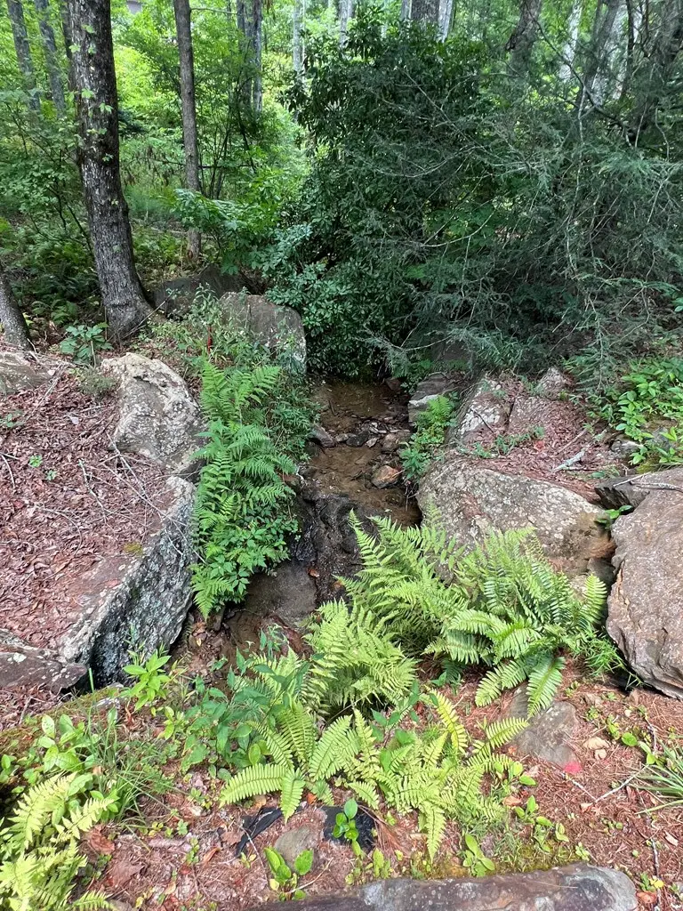 LOT 32 Mission Ridge, Hayesville, NC 28904 - #3
