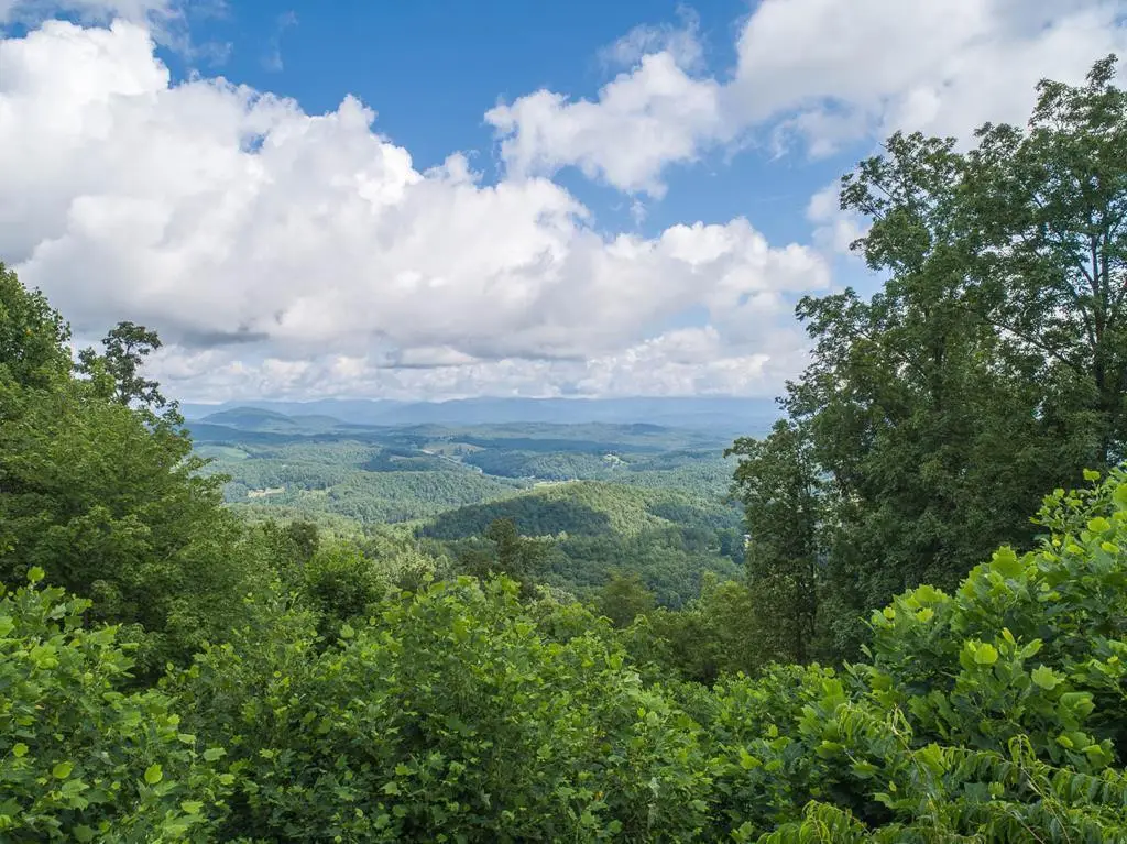 130 Trophy Buck Point, Murphy, NC 28906 - #1