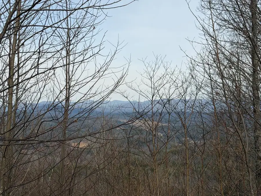 130 Trophy Buck Point, Murphy, NC 28906 - #3