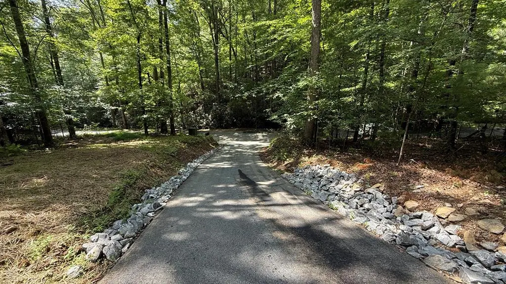 Lot 45 Granite Drive, Hayesville, NC 28904 - #1