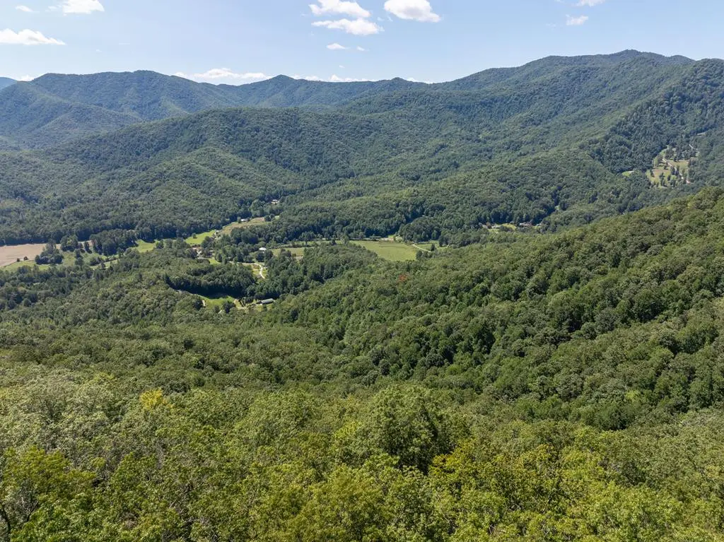 9999 Cindy Cove Trail, Robbinsville, NC 28771 - #1
