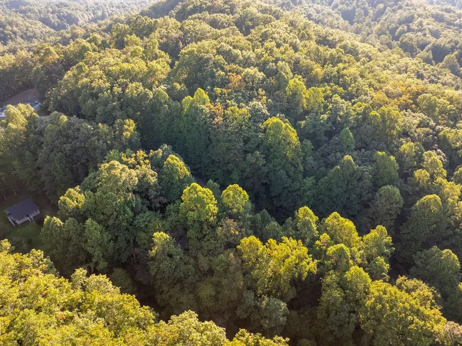 Lot 8 Madison Lane, Robbinsville, NC 28771 - #3
