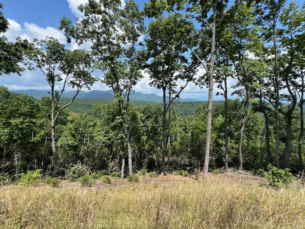 Lot 182 Skyline View Road, Murphy, NC 28906 - #1