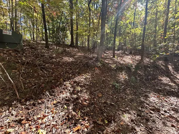 Lot 1 &2 Royal Oaks, Brasstown, NC 28902