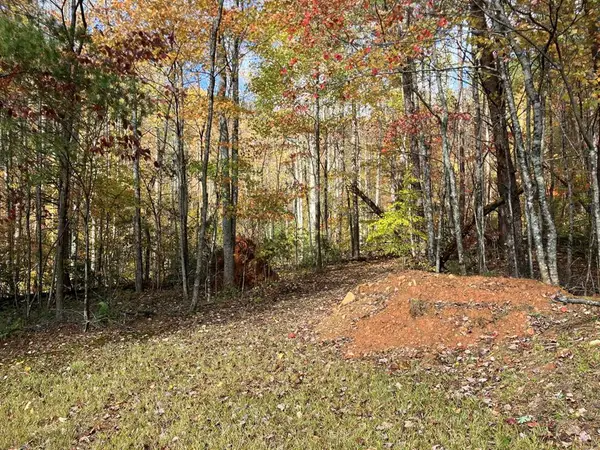 39A Hedden Stiles, Murphy, NC 28906