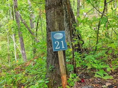 Lot 21 Skyview, Hayesville, NC 28904 - #1