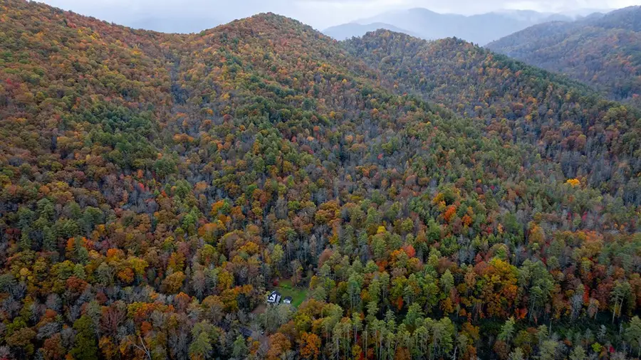 139 Land Iu Gap Road, Robbinsville, NC 28771 - #2