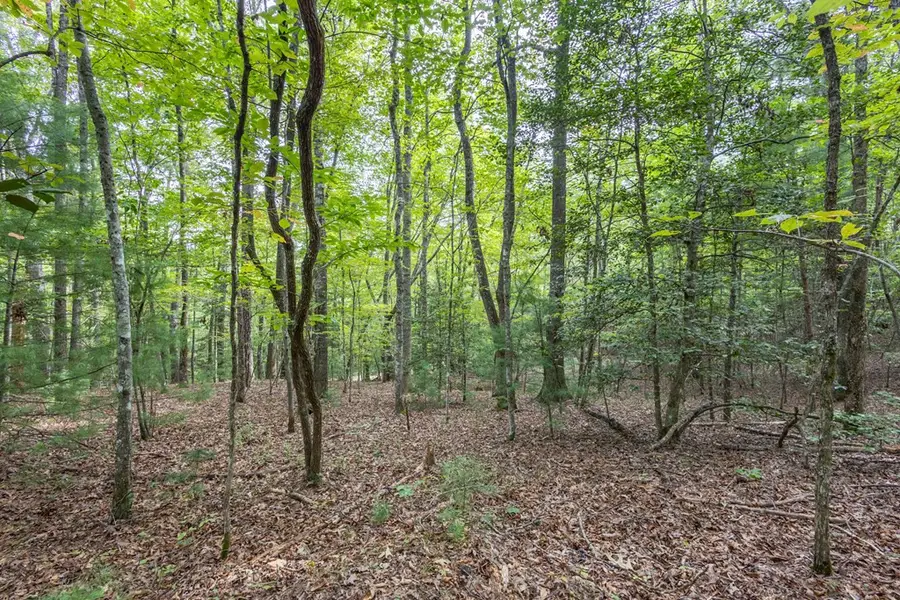 2 AC Horvath Road, Murphy, NC 28906 - #2