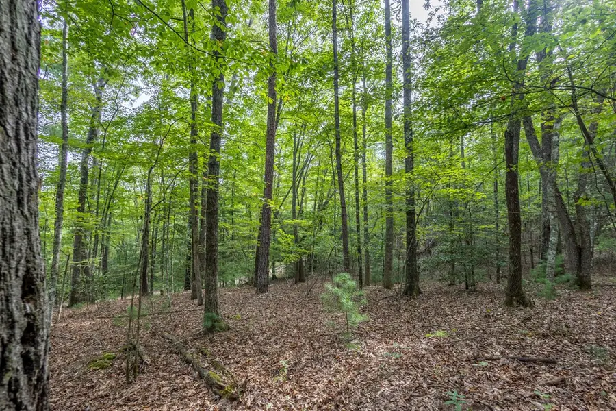 2 AC Horvath Road, Murphy, NC 28906 - #3