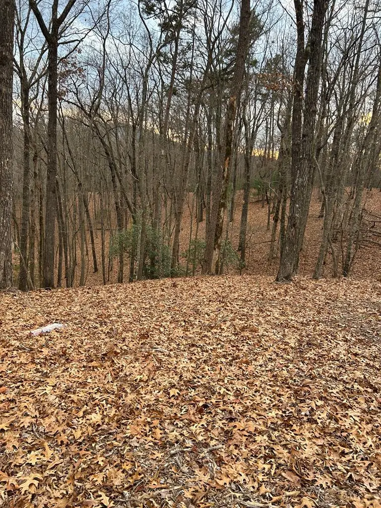 0 Tracks Hollow, Murphy, NC 28906 - #1