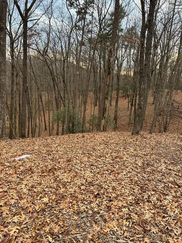 0 Tracks Hollow, Murphy, NC 28906