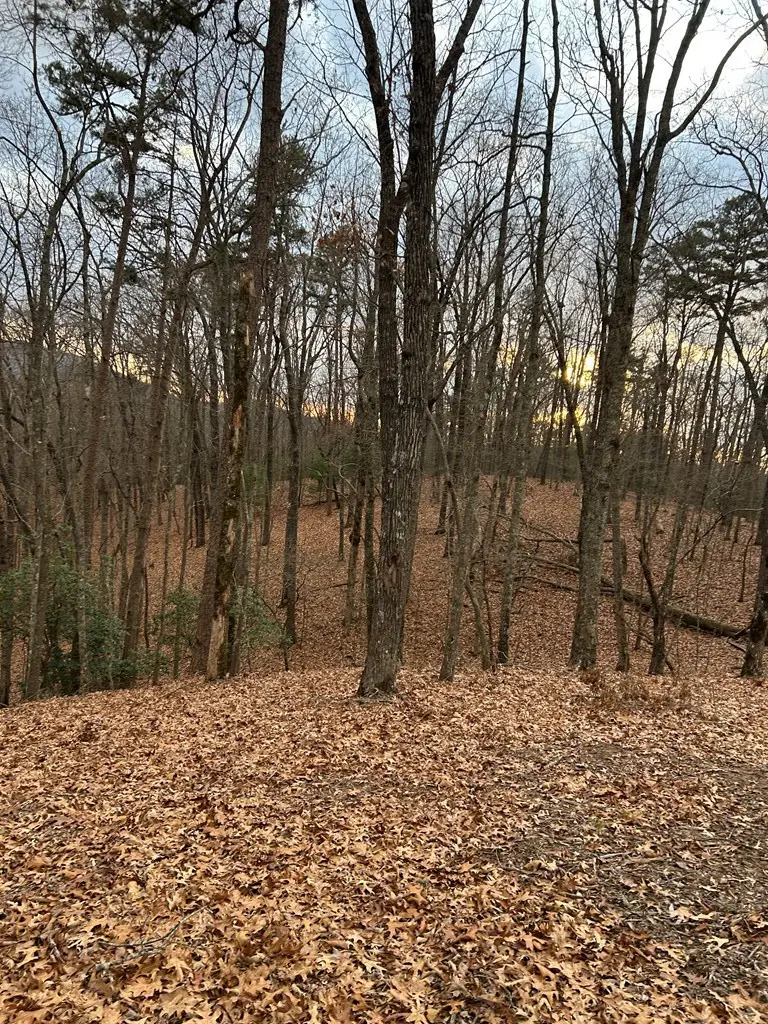 0 Tracks Hollow, Murphy, NC 28906 - #3
