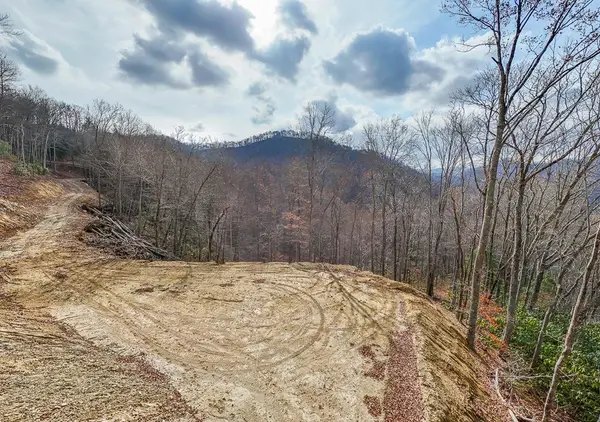 Lot 20 Walnut Cove Branch, Robbinsville, NC 28771