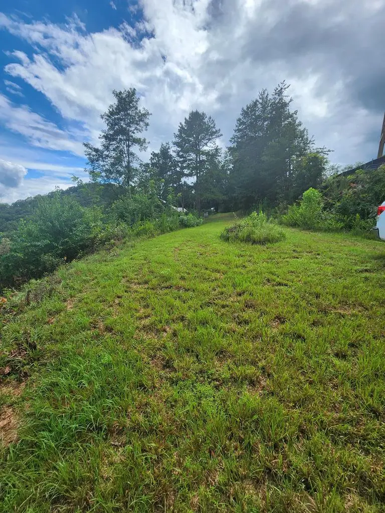 00 Soaring Eagle, Murphy, NC 28906 - #2