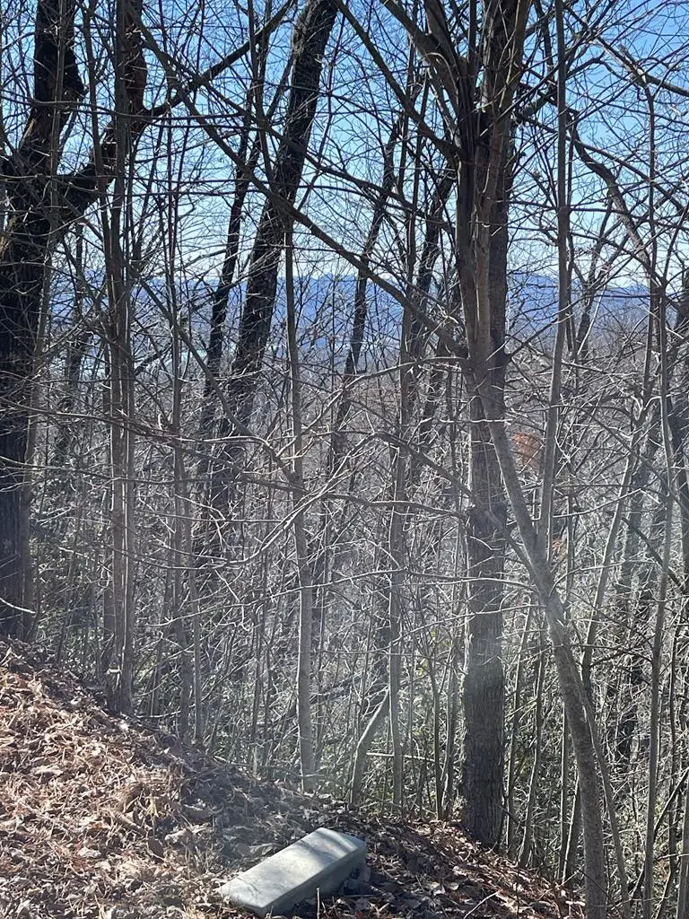 Lot 29j Ash Branch Rd,, Hayesville, NC 28904 - #1
