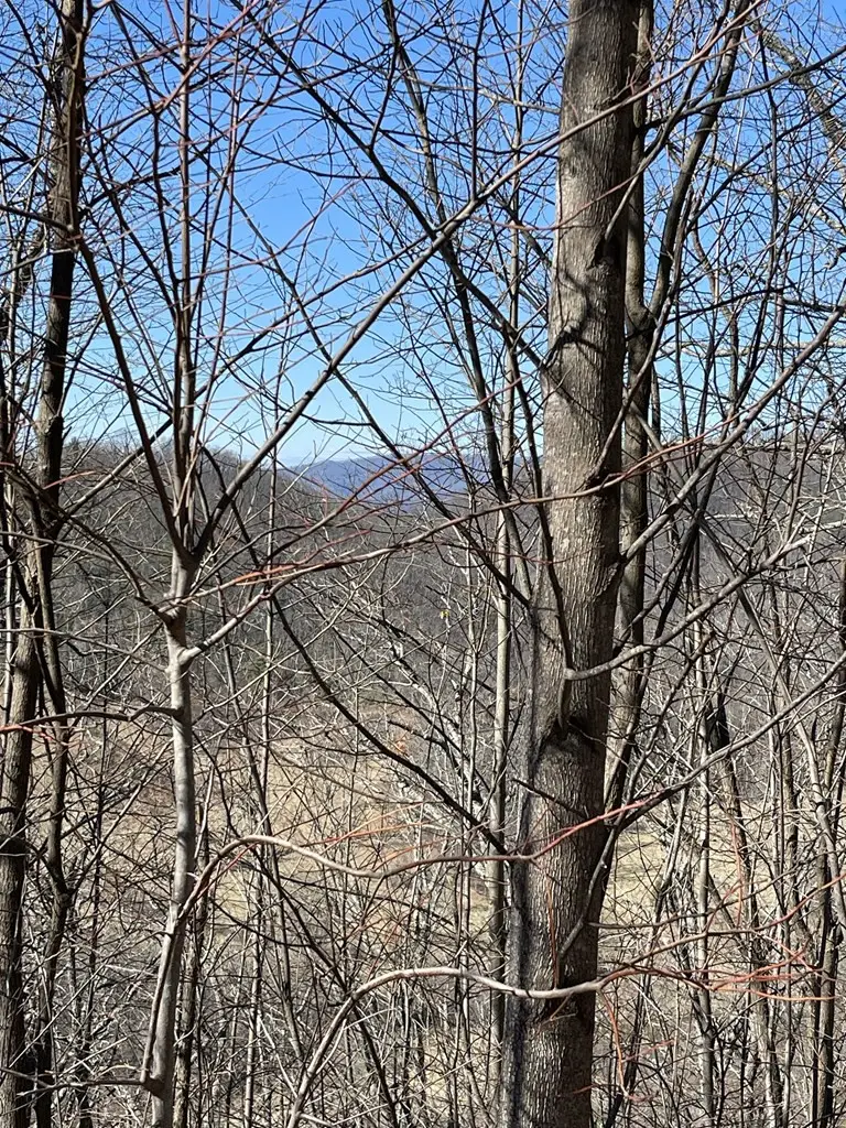 Lot 29j Ash Branch Rd,, Hayesville, NC 28904 - #3