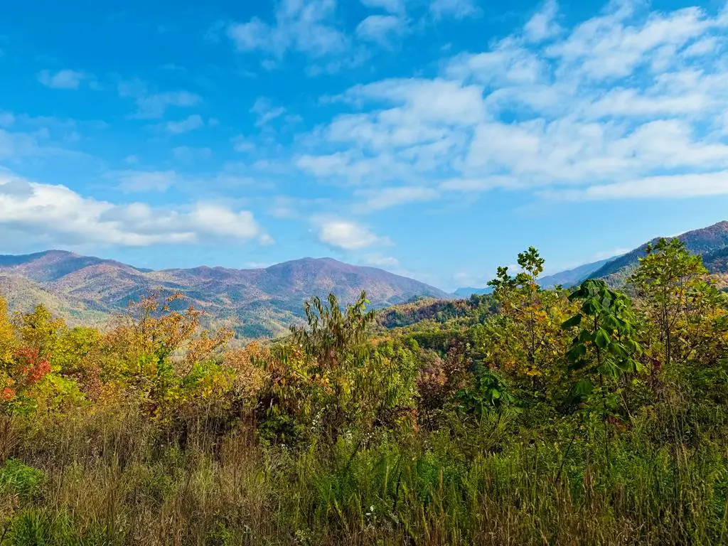 Lot 7 Serenity Ridge Trail, Andrews, NC 28901 - #1