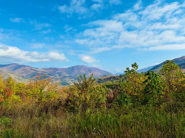 Lot 7 Serenity Ridge Trail, Andrews, NC 28901