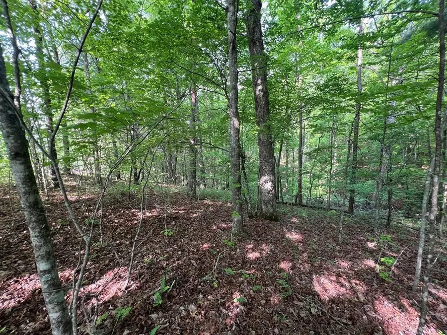 Lot 1 Weece Mountain, Murphy, NC 28906 - #2