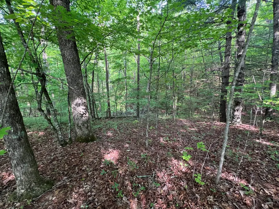 Lot 1 Weece Mountain, Murphy, NC 28906 - #3