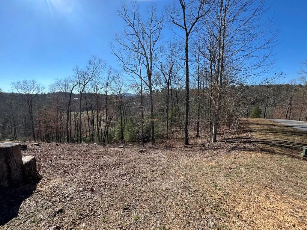 17 Fish Hawk Ridge, Murphy, NC 28906 - #1