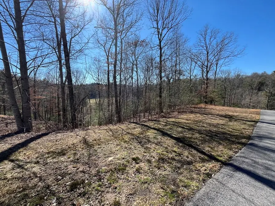 17 Fish Hawk Ridge, Murphy, NC 28906 - #3